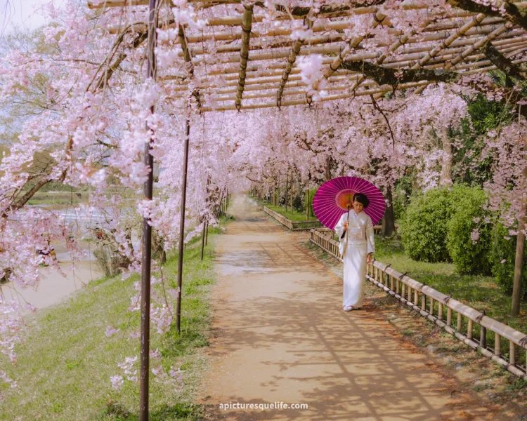 🌳 우라야마 공원 (浦山公園) 이미지 6